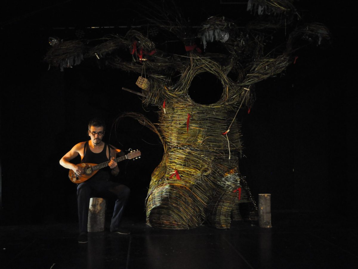 La magie de l'arbre, spectacle sur l'intelligence des arbres